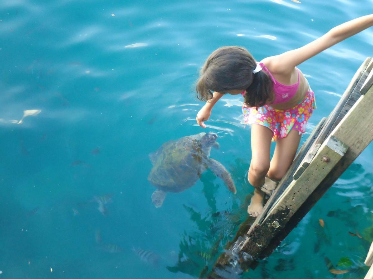 Pousada Cruzoe Praia de Araçatiba Dış mekan fotoğraf